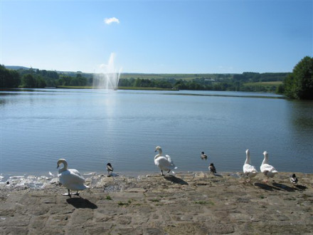 http://www.forumpassat.fr/uploads/711_966_63_echternach.jpg