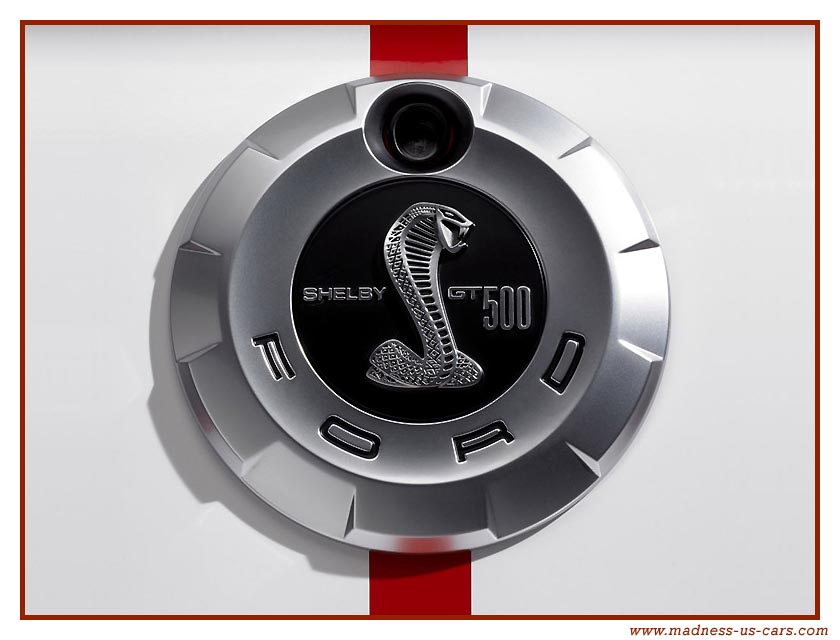 http://www.forumpassat.fr/uploads/711_mustang-shelby-gt-500-10.jpg